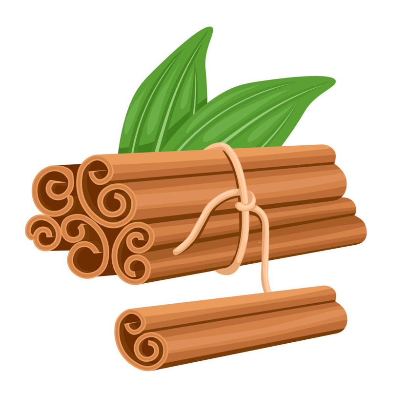 انواع ادویه و چاشنی غذا