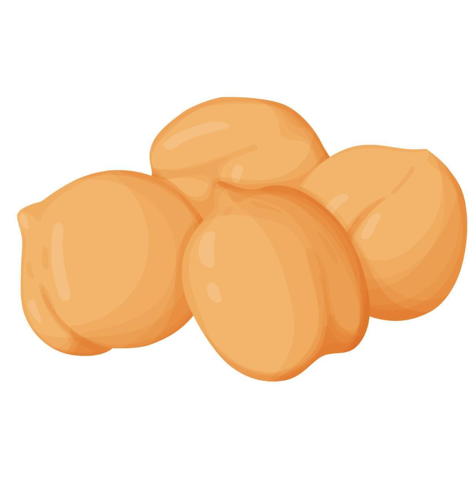 انواع نخودچی