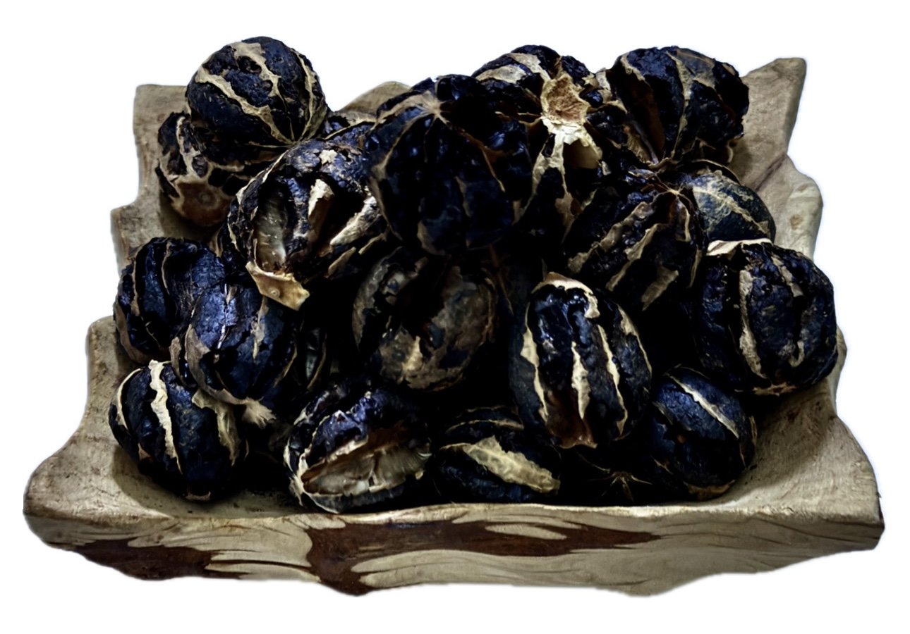 لیمو عمانی توپی